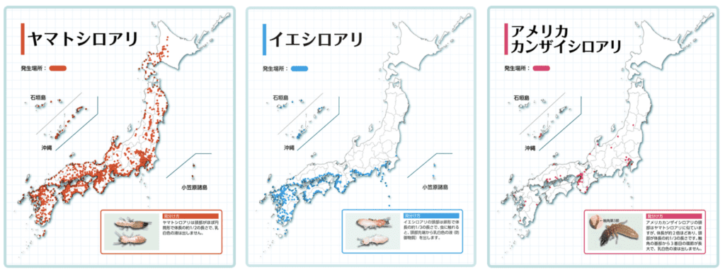 日本のシロアリ分布図
