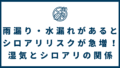 1dc4ca20cbba2c387131cb927b79a026 120x68 - アイジーコンサルティングのシロアリ駆除はやばい？評判・口コミを徹底調査！