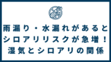 1dc4ca20cbba2c387131cb927b79a026 160x90 - 雨漏り・水漏れがあるとシロアリリスクが急増！湿気とシロアリの関係