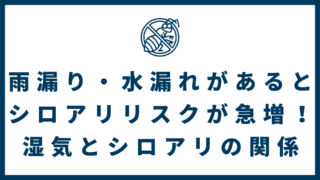 1dc4ca20cbba2c387131cb927b79a026 320x180 - 雨漏り・水漏れがあるとシロアリリスクが急増！湿気とシロアリの関係