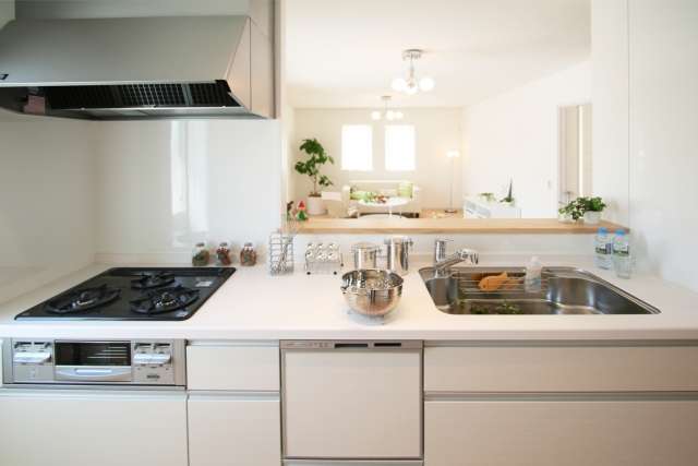 雨漏り・水漏れがあるとシロアリリスクが急増!湿気とシロアリの関係 24484528 s - 雨漏り・水漏れがあるとシロアリリスクが急増!湿気とシロアリの関係