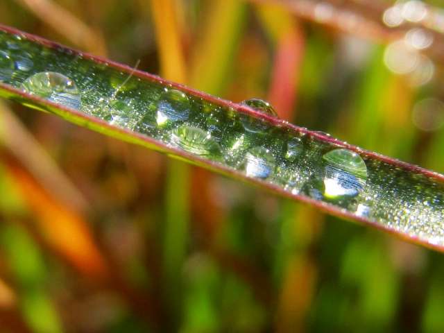 雨漏り・水漏れがあるとシロアリリスクが急増!湿気とシロアリの関係 34285844 s - 雨漏り・水漏れがあるとシロアリリスクが急増!湿気とシロアリの関係